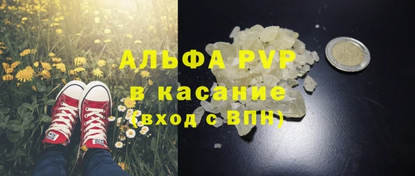 эйфоретик Бежецк