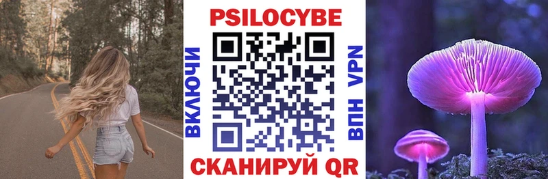 Галлюциногенные грибы Psilocybe где продают наркотики Тайга